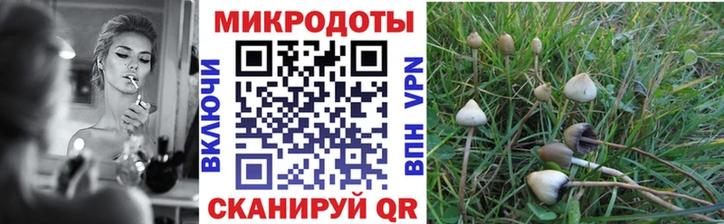 наркотики  Петухово  Псилоцибиновые грибы прущие грибы 